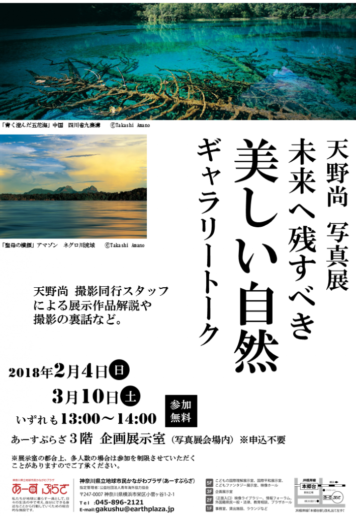 チラシ