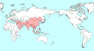 World Map