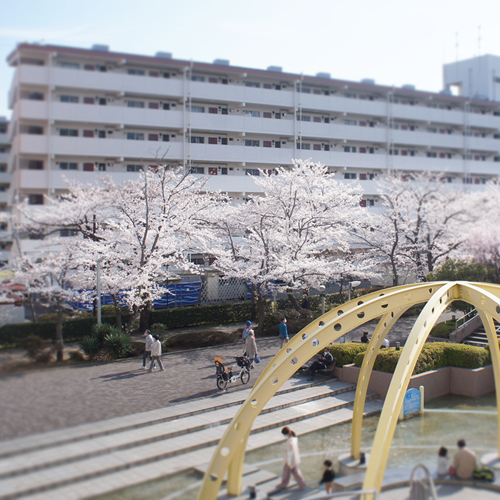 野遊び～SDGs 住み続けられるまちづくりを（掲載2021年3月30日）